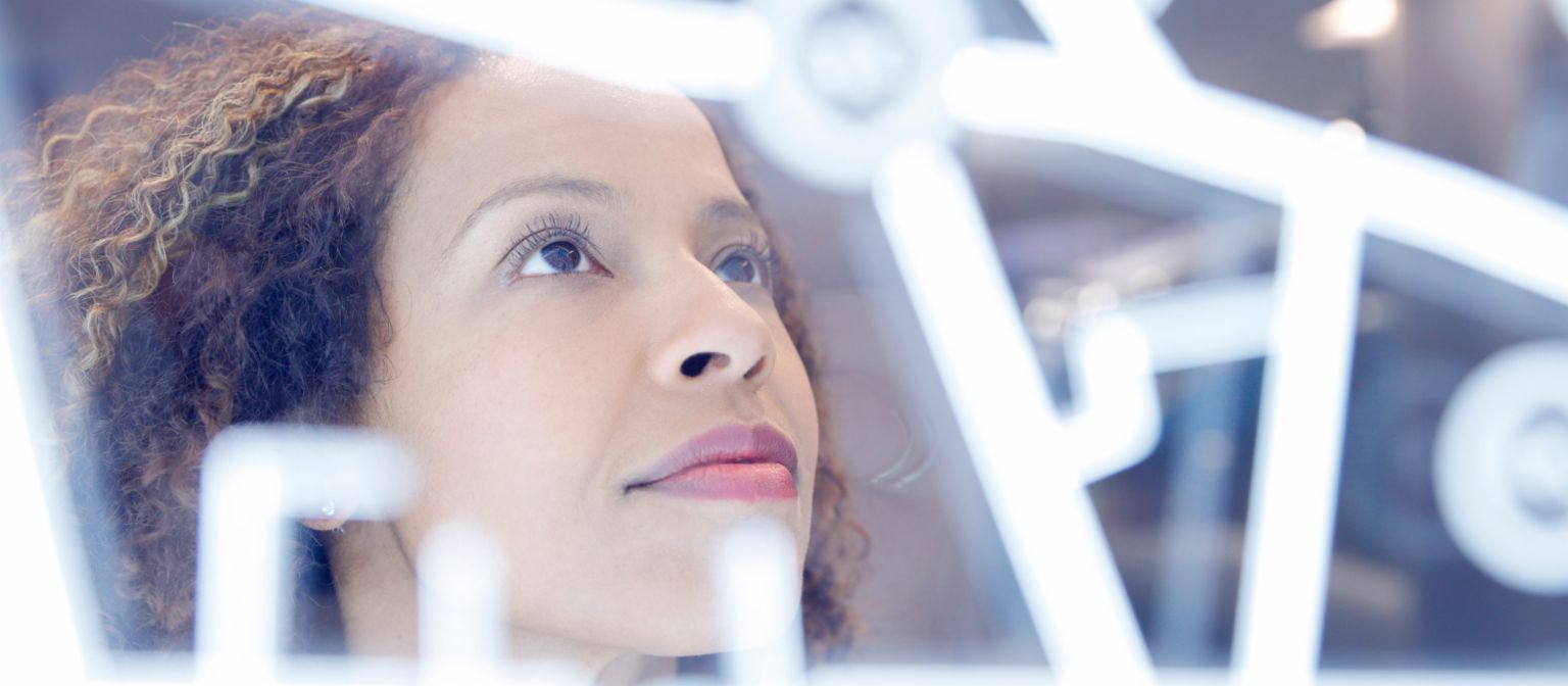 AI development in companies: A data scientist looks at a data construct.